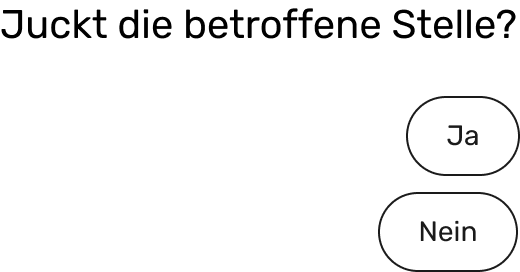 Beispiel Bild unseres Fragebogens